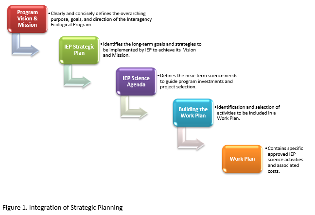 Stepwise graphical representation that shows the strategic planning documents (e.g., Strategic Plan, Science Agenda, and the annual Work Plan) being implemented throughout the organization’s planning process to set the long-term, near term and annual planning goals. Five planning phases shown in stepwise fashion starting with (1) the IEP Program Vision and Mission, (2) the Strategic Plan, (3) the Science Agenda, (4) building the Work Plan, and (5) the IEP Work Plan.